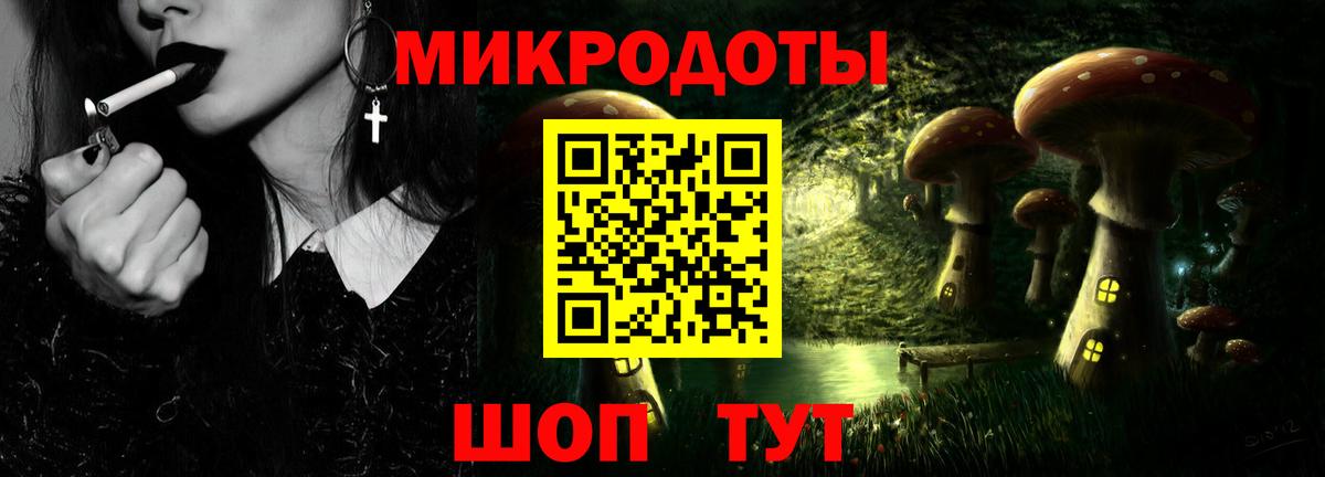 Галлюциногенные грибы Psilocybine cubensis Волгоград